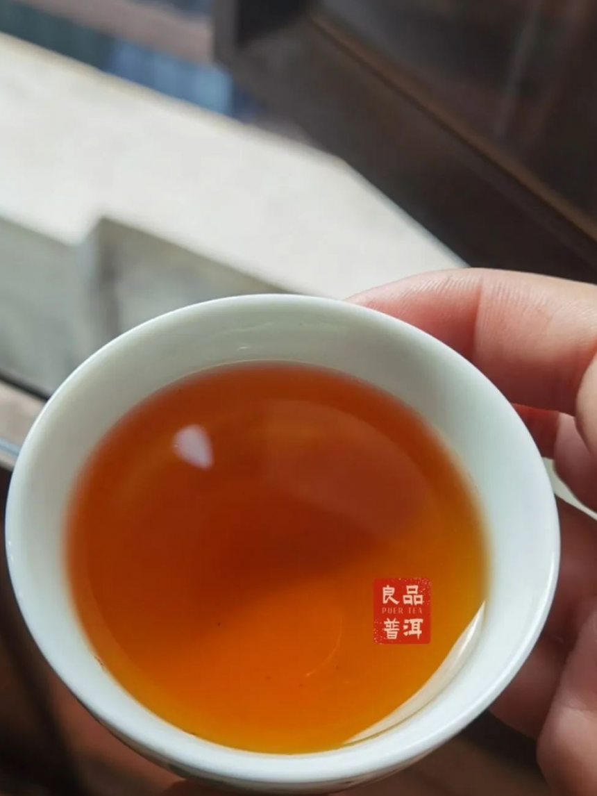 老茶测评丨 澜沧古茶2006年野生乔木茶
